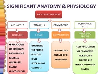 SIGNIFICANT ANATOMY & PHYSIOLOGY
ENDOCRINE PANCREAS
BETA CELLSALPHA CELLS
POLYPEPTIDE
CELLS
GAMMA CELLS
INSULINGLUCAGON
PANCREATIC
PEPTIDE
SOMATOSTATIN
•LOWERING
THE BLOOD
GLUCOSE
LEVEL
•STORAGE OF
GLYCOGEN
•BREAKDOWN
OF GLYCOGEN
FROM LIVER &
MUSCLES
•INCREASES
BLOOD
GLUCOSE LEVEL
•SELF REGULATION
OF PANCREATIC
SECRETION &
EFFECTS THE
HEPATIC GYLCOGEN
LEVELS.
•INHIBITION &
RELEASE OF GI
HORMONES
 
