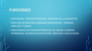 FUNCIONES:
•
•
•
EXOCRINAS: FUNCION PRINCIPAL PROCESO DE LA DIGESTION.
PARA ESO SE NECESITA ENZIMAS IMPORANTES: TRIPSINA,
AMILASA Y LIPASA
ENDOCRINAS: SU FUNCION PRINCIPAL ES CREAR Y LIBERAR
HORMONAS, ALGUNAS DE ESTAS SON: INSULINA Y GGLUCAGON.
 