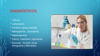 DIAGNÓSTICOS.
•
•
•
•
•
•
•
Clínico
Laboratorio
Amilasa ,lipasa seriado
Hemograma : Leucocitos
Hepatograma.
Calcio, colesterol ,tigricerido
Glucosa , función renal,
Ionograma y Bilirubina.
 