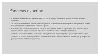 Páncreas exocrino
◦ El páncreas secreta cada día alrededor de 500 a 800 ml de jugo pancreático incoloro, inodoro, alcalino e
isosmótico.
◦ Las células acinares liberan amilasa, proteasas y lipasas, las enzimas que se encargan de la digestión de los tres
tipos de alimentos: carbohidratos, proteínas y grasas.
◦ A diferencia del páncreas endocrino, en el que las células de los islotes se especializan en la secreción de un
tipo de hormona, las células acinares individuales secretan todas las variedades de enzimas.
◦ La amilasa pancreática se libera en su forma activa y termina el proceso digestivo que inició la amilasa salival.
◦ La amilasa es la única enzima pancreática secretada en su forma activa e hidroliza el almidón y el glucógeno en
glucosa, maltosa, maltotriosa y dextrinas.
 