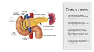Drenaje venoso
• Las venas son superficiales
respecto de las arterias dentro del
parénquima del páncreas.
• Las venas superiores drenan
directamente en la vena porta justo
arriba del cuello pancreático.
• La vena pancreaticoduodenal
anteroinferior se une a las venas
gastroepiploica derecha y a la
cólica media para formar un tronco
venoso común, que penetra en la
vena mesentérica superior.
• El retorno venoso del cuerpo y la
cola del páncreas desemboca en la
vena esplénica.
 