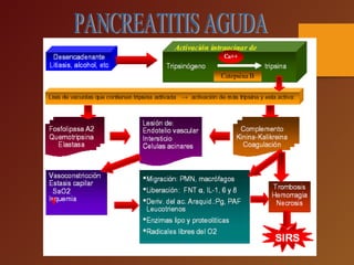 Pancreatitis ag