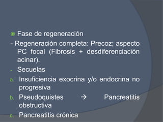   Fase de regeneración
- Regeneración completa: Precoz; aspecto
   PC focal (Fibrosis + desdiferenciación
   acinar).
- Secuelas
a. Insuficiencia exocrina y/o endocrina no
   progresiva
b. Pseudoquistes              Pancreatitis
   obstructiva
c. Pancreatitis crónica
 
