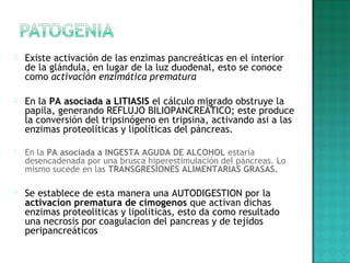  Existe activación de las enzimas pancreáticas en el interior
de la glándula, en lugar de la luz duodenal, esto se conoce
como activación enzimática prematura
 En la PA asociada a LITIASIS el cálculo migrado obstruye la
papila, generando REFLUJO BILIOPANCREÁTICO; este produce
la conversión del tripsinógeno en tripsina, activando asi a las
enzimas proteolíticas y lipolíticas del páncreas.
 En la PA asociada a INGESTA AGUDA DE ALCOHOL estaría
desencadenada por una brusca hiperestimulación del páncreas. Lo
mismo sucede en las TRANSGRESIONES ALIMENTARIAS GRASAS.
 Se establece de esta manera una AUTODIGESTION por la
activacion prematura de cimogenos que activan dichas
enzimas proteoliticas y lipoliticas, esto da como resultado
una necrosis por coagulacion del pancreas y de tejidos
peripancreáticos
 