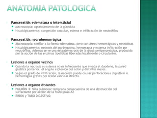  Pancreatitis edematosa o intersticial
 Macroscopia: agrandamiento de la glandula
 Histológicamente: congestión vascular, edema e infiltración de neutrófilos
 Pancreatitis necrohemorrágica
 Macroscopia: similar a la forma edematosa, pero con áreas hemorrágicas y necróticas
 Histológicamente: necrosis del parénquima, hemorragia y extensa infiltración por
neutrófilos. Ademas se ve una esteatonecrosis de la grasa peripancreática, producida
por la acción de las enzimas lipolíticas liberadas localmente o circulantes.
 Lesiones a organos vecinos
 Cuando la necrosis es extensa no es infrecuente que invada el duodeno, la pared
gástrica posterior, el ángulo esplénico del colon y distintos mesos.
 Según el grado de infiltración, la necrosis puede causar perforaciones digestivas o
hemorragias graves por lesión vascular directa.
 Lesiones a organos distantes
 PULMÓN  falla pulmonar temprana consecuencia de una destrucción del
surfactante por acción de la fosfolipasa A2
 RIÑÓN y TUBO DIGESTIVO.
 