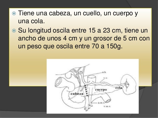 Testimonio Cancer de Pancreas Esperanza De Vida Gracias a Testimonio Cancer de Pancreas Esperanza De Vida Gracias a
