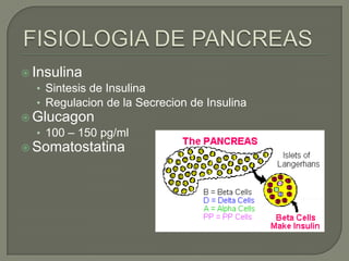  Insulina
• Sintesis de Insulina
• Regulacion de la Secrecion de Insulina
 Glucagon
• 100 – 150 pg/ml
 Somatostatina

 