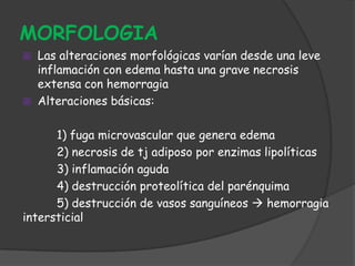 Pancreatitis aguda-catedra de patologia B.comision 9-2013