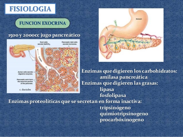 Pancreatitis aguda Pancreatitis aguda