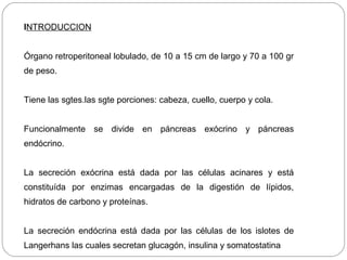 INTRODUCCION 
Órgano retroperitoneal lobulado, de 10 a 15 cm de largo y 70 a 100 gr 
de peso. 
Tiene las sgtes.las sgte porciones: cabeza, cuello, cuerpo y cola. 
Funcionalmente se divide en páncreas exócrino y páncreas 
endócrino. 
La secreción exócrina está dada por las células acinares y está 
constituída por enzimas encargadas de la digestión de lípidos, 
hidratos de carbono y proteínas. 
La secreción endócrina está dada por las células de los islotes de 
Langerhans las cuales secretan glucagón, insulina y somatostatina 
 