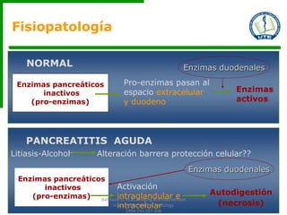 Enzimas pancreáticos
inactivos
(pro-enzimas)
Pro-enzimas pasan al
espacio extracelular
y duodeno
Enzimas
activos
Enzimas duodenalesNORMAL
Activación
intraglandular e
intracelular
Autodigestión
(necrosis)
PANCREATITIS AGUDA
Enzimas pancreáticos
inactivos
(pro-enzimas)
Litiasis-Alcohol Alteración barrera protección celular??
Enzimas duodenales
Balthazar EJ et al. Imaging and Intervention
in acute pancreatitis. Radiology
1994;193:297-306
Fisiopatología
 