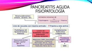 PANCREATITIS AGUDA
FISIOPATOLOGÍA
 