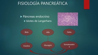 FISIOLOGÍA PANCREÁTICA
 Páncreas endocrino
 Islotes de Langerhans
Beta Alfa Delta
Insulina Glucagón Somatostatin
a
 
