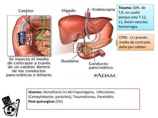 Trauma: 10% de
T.A. en cuello
porque esta T-12,
L1, lesión vascular,
hemorragia.

CPRE- (+) presión
medio de contraste,
daño por catéter.

Jóvenes: Hereditario (+) del tripsinogeno, Infecciones
(Campylobacter, parásitos), Traumatismos, Parotiditis.
Post-quirurgicas (5%)

 