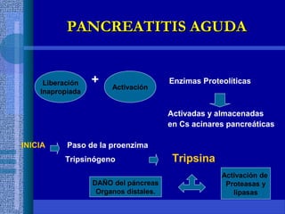 + Enzimas Proteolíticas
Activadas y almacenadas
en Cs acinares pancreáticas
INICIA Paso de la proenzima
Tripsinógeno Tripsina
Liberación
Inapropiada
Activación
Activación de
Proteasas y
lipasas
DAÑO del páncreas
Organos distales.
PANCREATITIS AGUDAPANCREATITIS AGUDA
 