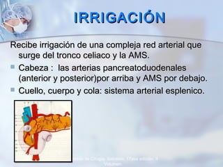 IRRIGACIÓNIRRIGACIÓN
Recibe irrigación de una compleja red arterial queRecibe irrigación de una compleja red arterial que
surge del tronco celiaco y la AMS.surge del tronco celiaco y la AMS.
 Cabeza :Cabeza : las arterias pancreatoduodenaleslas arterias pancreatoduodenales
(anterior y posterior)por arriba y AMS por debajo.(anterior y posterior)por arriba y AMS por debajo.
 Cuello, cuerpo y cola: sistema arterial esplenico.Cuello, cuerpo y cola: sistema arterial esplenico.
Tratado de Cirugía. Sabiston. 17ava edición. II
Volumen.
 