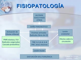 FISIOPATOLOGÍAFISIOPATOLOGÍA
Tratado de Cirugía.
Sabiston. 17ava
ALCOHOL
COLELITIASIS
OTROS
DAÑO PANCREÁTICO
Activación de
Células inflamat.
Enzimas activadas
Radicales libres de O2
Lesión
endotelial
TNF, IL-1,IL-6, IL-8
PAF, otras citocinas
Lesión tisular
DISFUNCIÓN MULTIORGÁNICA
PMN elastasa, FLA
Radicales oxigenados
Cascada proteolítica
Efectos sobre la
circulación
 