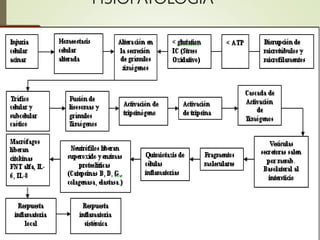 FISIOPATOLOGÍA
 