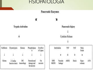 FISIOPATOLOGÍA
 