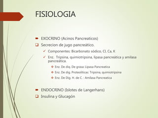FISIOLOGIA
 EXOCRINO (Acinos Pancreaticos)
 Secrecion de jugo pancreático.
 Componentes: Bicarbonato sódico, Cl, Ca, K
 Enz. Tripsina, quimiotripsina, lipasa pancreática y amilasa
pancreática.
 Enz. De diq. De grasa: Lipasa Pancreatica
 Enz. De dig. Proteoliticas: Tripsina, quimiotripsina
 Enz. De Dig. H. de C. : Amilasa Pancreatica
 ENDOCRINO (Islotes de Langerhans)
 Insulina y Glucagón
 