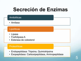 Secreción de Enzimas
Amilolíticas
• Amilasa
Lipolíticas

• Lipasa
• Fosfolipasa A
• Esterasa de colesterol
Proteolíticas
• Endopeptidasa: Tripsina, Quimiotripsina
• Exopeptidasa: Carboxipeptidasa, Aminopeptidasa

5

 