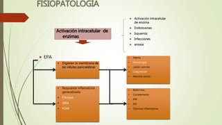 FISIOPATOLOGÍA
Activación intracelular de
enzimas
 Activación intracelular
de enzima
 Endotoxinas
 Isquemia
 Infecciones
 anoxia
 EPA
 Digieren la membrana de
las células pancreáticas
 Edema
 Hemorragia
 Lesión vascular
 Coagulación
 Necrosis celular
 Respuesta inflamatoria
generalizada
 Choque
 SIRA
 FOM
 Badicinina
 Complemento
 PAF
 NO
 Citocinas inflamatorias
 