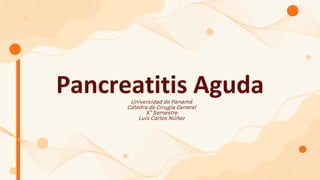 Pancreatitis Aguda
Universidad de Panamá
Cátedra de Cirugía General
X° Semestre
Luis Carlos Núñez
 
