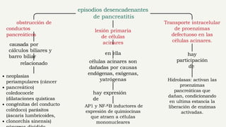 pancreatitisaguda y cronica dr chavez.pptx