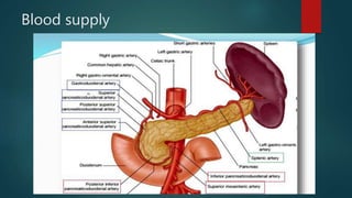 Blood supply
 