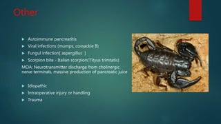 Other
 Autoimmune pancreatitis
 Viral infections (mumps, coxsackie B)
 Fungul infection[ aspergillus ]
 Scorpion bite - Italian scorpion('l'ityus trimtatis)
MOA: Neurotransmitter discharge from cholinergic
nerve terminals, massive production of pancreatic juice
 Idiopathic
 Intraoperative injury or handling
 Trauma
 