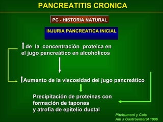 PANCREATITIS CRONICA
PC -- HISTORIA NATURAL
PC HISTORIA NATURAL
INJURIA PANCREATICA INICIAL

de la concentración proteica en
el jugo pancreático en alcohólicos

Aumento de la viscosidad del jugo pancreático
Precipitación de proteínas con
formación de tapones
y atrofia de epitelio ductal
Pitchumoni y Cols
Am J Gastroenterol 1996

 