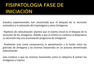 Estudios experimentales han encontrado que el bloqueo de la secreción
enzimática y la activación del tripsinógeno y otros Zimógenos
Hipótesis de colocalización: plantea que el evento inicial es el bloqueo de la
excreción de los zimógenos. Debido a que la síntesis es continua al bloquearse
su excreción hay una acumulación progresiva de zimógenos
finalmente trae como consecuencia la aproximación y la fusión entre los
gránulos de Zimógeno y las enzimas lisosomales en un proceso denominado
colocalización
esto conduce a que las enzimas lisosomales como la catepsina B activen los
zimógenos a tripsina
 