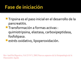  Tripsina es el paso inicial en el desarrollo de la
pancreatitis.
 Transformación a formas activas :
quimiotripsina, elastasa, carboxipeptidasa,
fosfolipasa.
 estrés oxidativo, lipoperoxidación.
Rev And Pat Digestiva, Vol 25 N°3, 2003.Nuevos aspectos de la fisiopatología de la
Pancreatitis Aguda
 