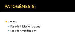  Fases :
 Fase de Iniciación o acinar
 Fase de Amplificación
 