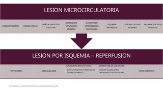 LESION POR ISQUEMIA – REPERFUSION
REPERFUSION RADICALES LIBRE
CITOQUINAS INFLAMATOSIAS
•ACTIV COMPLEMNTEO Y LIBERACION DE
C5a RECLUTAMIENTO
QUIMIOTAXIS DE LEUCOCITOS
•INVASION GLANDULAR POR
MACROFAGOS Y LEUCOCITOS PMN
ESTES OXIDATIVO
LESION MICROCIRCULATORIA
VASOCONTRICCION ESTASIS CAPILAR
DAÑO AL ENDOTELIO
VASCULAR
DISMINICION
SATURACION
OXIGENO
AUMENTO DE
PERMEABILIDAD
VACUSCULAR
ISQUEMIA
PROGRESIVA
LESION A CELULAS
ACINARES
INFLAMACION DE LA
GLANDULA
PATOGENIA DE LA PANCREATITIS AGUDA. SHANTI SWAROOP VEGE, MD.
 