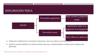 EXPLORACION FISICA
 Distensión abdominal y el intestino hipoactivo; íleo secundaria a la inflamación
 Ictericia escleral debido a la ictericia obstructiva por coledocolitiasis o edema de la cabeza del
páncreas.
MANIFESTACIONES CLÍNICAS Y DIAGNÓSTICO DE LA PANCREATITIS AGUDA. SHANTI SWAROOP VEGE, MD
DOLOR
Pancreatitis aguda leve
Dolor minimo a palpación
media
Pancreatitis grave
Significativo dolor a la
palpación en el epigastrio
Dolor difuso en abdomen
 