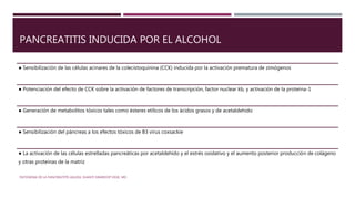 PANCREATITIS INDUCIDA POR EL ALCOHOL
● Sensibilización de las células acinares de la colecistoquinina (CCK) inducida por la activación prematura de zimógenos
● Potenciación del efecto de CCK sobre la activación de factores de transcripción, factor nuclear kb, y activación de la proteína-1
● Generación de metabolitos tóxicos tales como ésteres etílicos de los ácidos grasos y de acetaldehído
● Sensibilización del páncreas a los efectos tóxicos de B3 virus coxsackie
● La activación de las células estrelladas pancreáticas por acetaldehído y el estrés oxidativo y el aumento posterior producción de colágeno
y otras proteínas de la matriz
PATOGENIA DE LA PANCREATITIS AGUDA. SHANTI SWAROOP VEGE, MD.
 