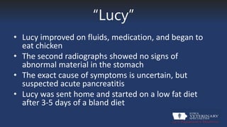 “Lucy”
• Lucy improved on fluids, medication, and began to
eat chicken
• The second radiographs showed no signs of
abnormal material in the stomach
• The exact cause of symptoms is uncertain, but
suspected acute pancreatitis
• Lucy was sent home and started on a low fat diet
after 3-5 days of a bland diet
 