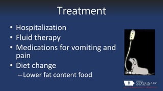 Treatment
• Hospitalization
• Fluid therapy
• Medications for vomiting and
pain
• Diet change
–Lower fat content food
 