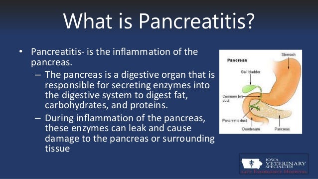 Tiempo de baja por pancreatitis