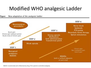 Modified WHO analgesic Ladder
 
