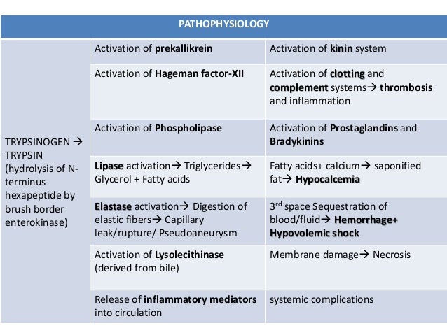 etiology of pancreatitis Pancreatitis comprehensive overview covers symptoms, causes, treatment of this potentially serious digestive system disorder. etiology of pancreatitis Pancreatitis comprehensive overview covers symptoms, causes, treatment of this potentially serious digestive system disorder.