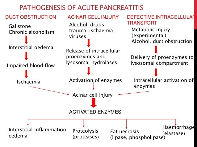 Foods High In Lipase And Pancreatitis Foods High In Lipase And Pancreatitis