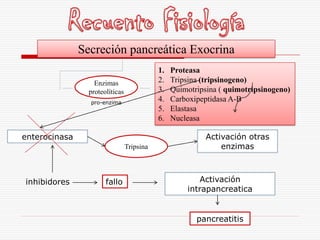 Secreción pancreática Exocrina
                                            1.   Proteasa
                   Enzimas                  2.   Tripsina (tripsinogeno)
                 proteolíticas              3.   Quimotripsina ( quimotripsinogeno)
                 pro-enzima
                                            4.   Carboxipeptidasa A-B
                                            5.   Elastasa
                                            6.   Nucleasa

enterocinasa                                               Activación otras
                                 Tripsina                      enzimas



inhibidores            fallo                            Activación
                                                     intrapancreatica


                                                        pancreatitis
 