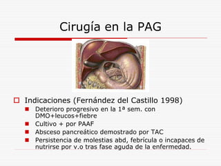 Cirugía en la PAG




 Indicaciones (Fernández del Castillo 1998)
   Deterioro progresivo en la 1ª sem. con
    DMO+leucos+fiebre
   Cultivo + por PAAF
   Absceso pancreático demostrado por TAC
   Persistencia de molestias abd, febrícula o incapaces de
    nutrirse por v.o tras fase aguda de la enfermedad.
 