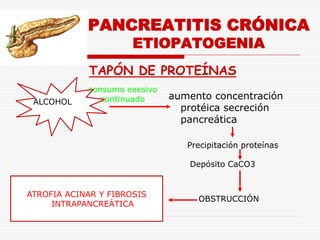 PANCREATITIS CRÓNICA
                      ETIOPATOGENIA
            TAPÓN DE PROTEÍNAS
            consumo exesivo
               continuado     aumento concentración
 ALCOHOL
                                protéica secreción
                                pancreática

                                 Precipitación proteínas

                                 Depósito CaCO3


ATROFIA ACINAR Y FIBROSIS
                                   OBSTRUCCIÓN
     INTRAPANCREÁTICA
 