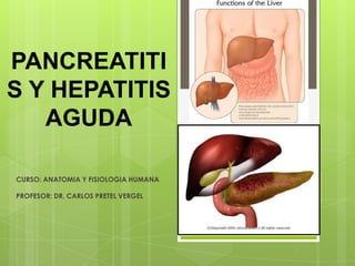 PANCREATITI
S Y HEPATITIS
AGUDA
CURSO: ANATOMIA Y FISIOLOGIA HUMANA
PROFESOR: DR. CARLOS PRETEL VERGEL
 