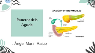 Pancreatitis
Aguda
• Ángel Marin Raico
 