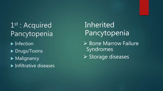 1st : Acquired
Pancytopenia
 Infection
 Drugs/Toxins
 Malignancy
 Infiltrative diseases
Inherited
Pancytopenia
 Bone Marrow Failure
Syndromes
 Storage diseases
 