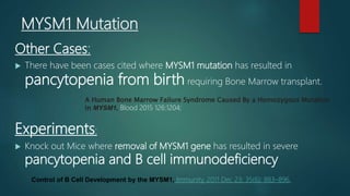 MYSM1 Mutation
Other Cases:
 There have been cases cited where MYSM1 mutation has resulted in
pancytopenia from birth requiring Bone Marrow transplant.
Experiments:
 Knock out Mice where removal of MYSM1 gene has resulted in severe
pancytopenia and B cell immunodeficiency
A Human Bone Marrow Failure Syndrome Caused By a Homozygous Mutation
in MYSM1, Blood 2015 126:1204;
Control of B Cell Development by the MYSM1, Immunity. 2011 Dec 23; 35(6): 883–896.
 